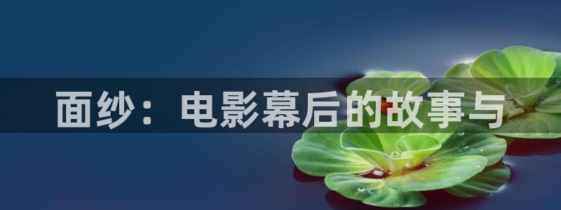 四虎影院久久久