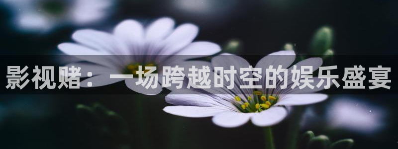 精品爱久久久影院
