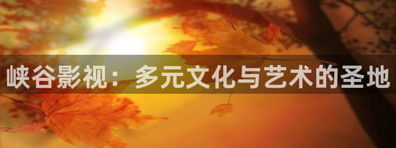 国产精品久久视频在线