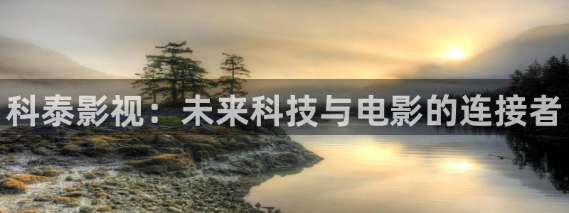 日韩久久久久久精品视频