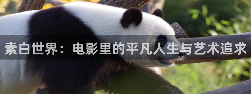 国产精品视频久久久久久久