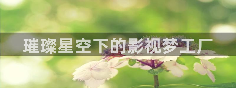 久久久精品影院精品影院