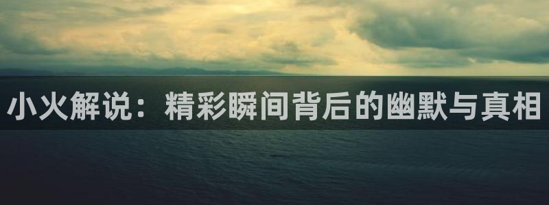 久久视频在线视频观看