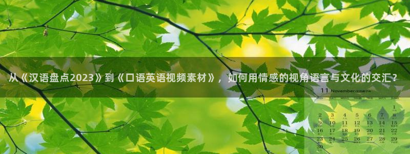 久久久久久影院久久影院