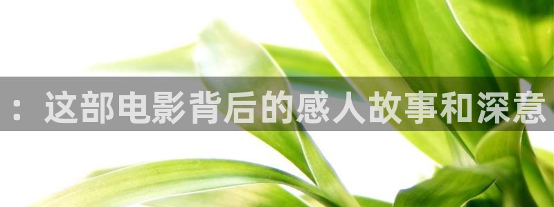 国产精品久久久激情影院