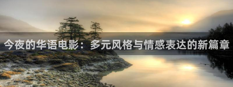 国产视频精品久久久久