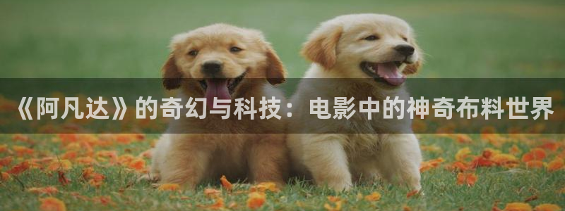 免费观看久久视频