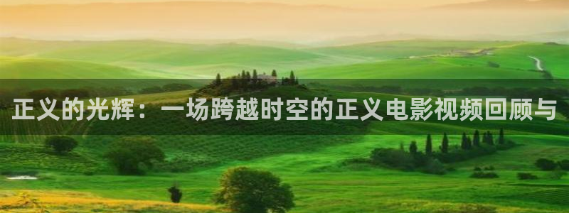 久久久久久久精品视频