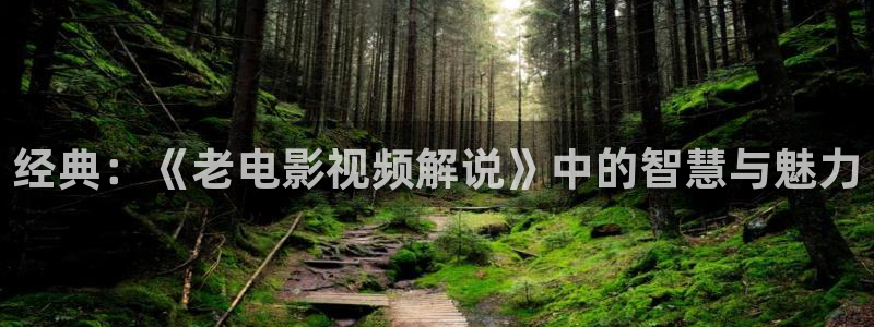 久久视频二区