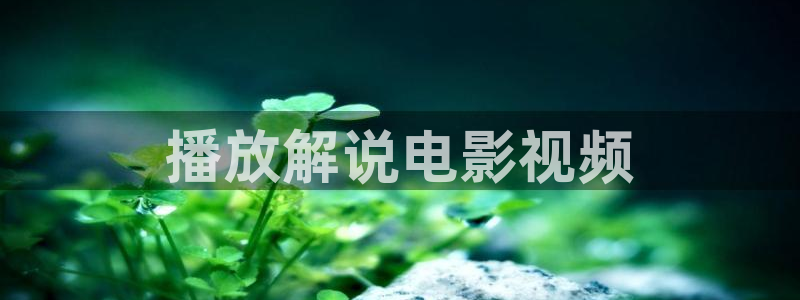 久久久午夜伊人影院
