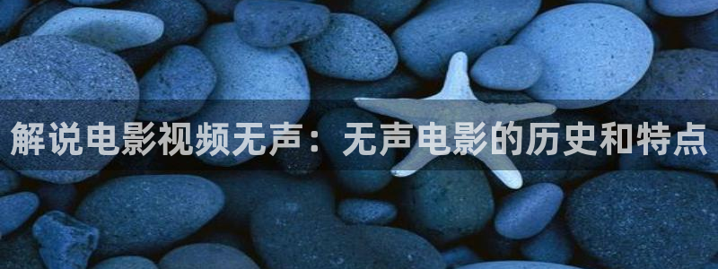 久久久久精品电影网站