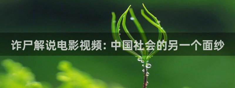 久久久6视频