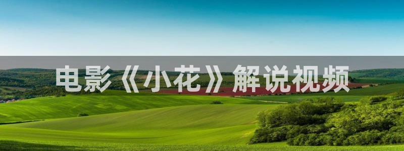 精品电影久久久久久