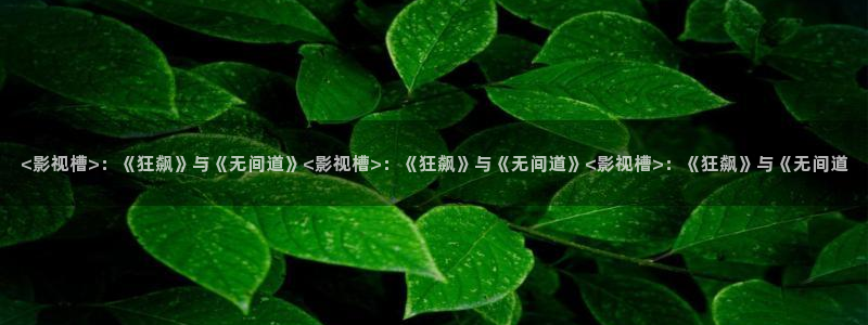 久久久久免费观看视频