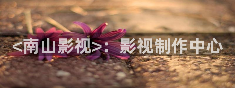 新闻图片