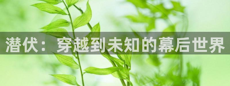 久久视频.com