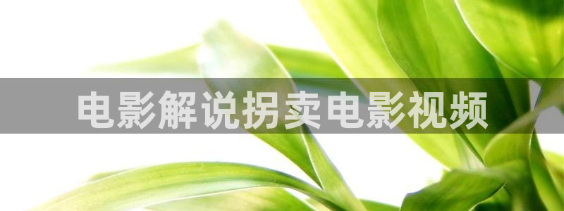 久久久影视网