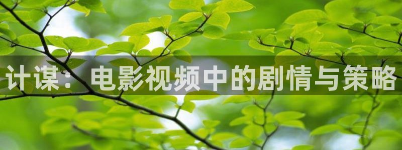 新闻图片