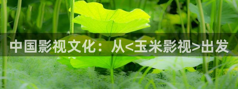 新闻图片